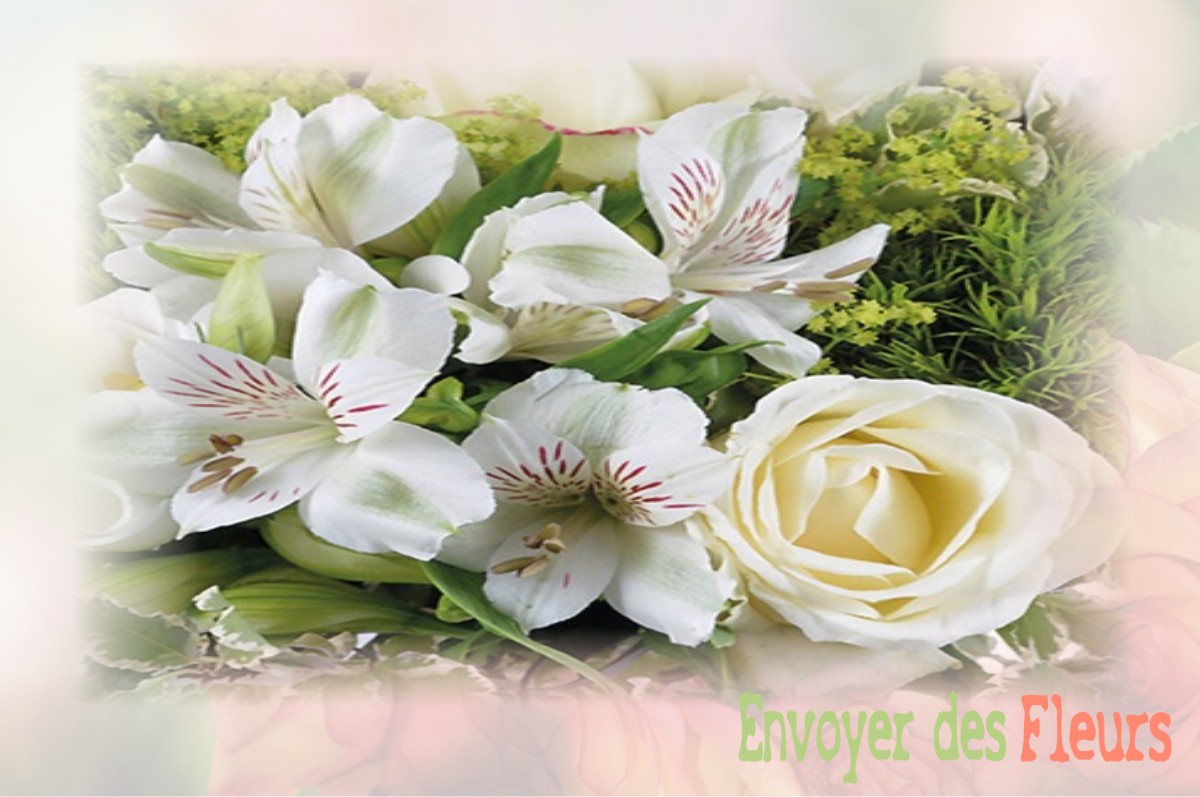 envoyer des fleurs à à RIBECOURT-DRESLINCOURT